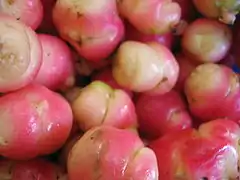 Oca tubers