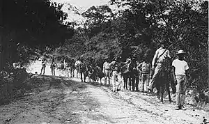 Image 50United States Marines and a Haitian guide patrolling the jungle in 1915 during the Battle of Fort Dipitie (from History of Haiti)