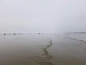 Low tide beach under overcast sky with tiny silhouettes of people in the distance