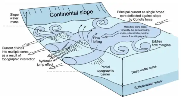 Identifying the current core, eddies and strands within a deep-water mass 