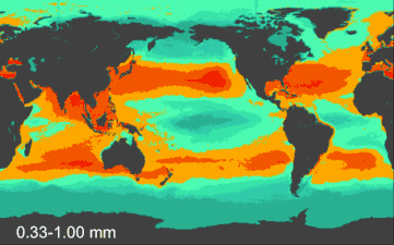 Model results for the count density of small planktonic plastic particles. Red: more dense Green: less dense