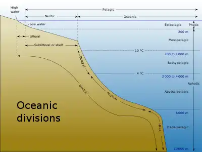 Drawing showing divisions according to depth and distance from shore