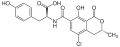 Ochratoxin TA