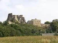 Ruins of the Kamieniec Castle near Korczyna