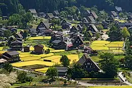 Many wooden houses with steep thatched gabled roofs.