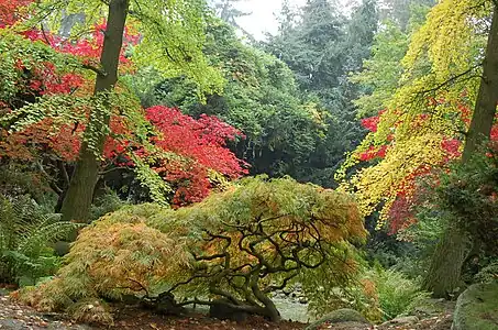 Japanese Garden