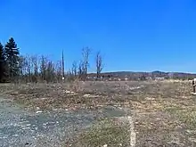 A bare expanse of untended grass and shrubbery with some bits of stone embedded in the ground. At left is a patch of gravel and at the bottom center the remnant of a curb. In the background, at center left, are some bare trees, evergreens, and a telephone pole