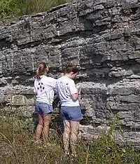 A stratigraphic section of Ordovician limestone exposed in central Tennessee.