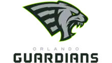 Team logo