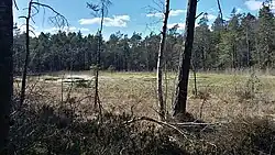 View of lake