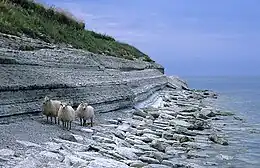 Cliff on the island of Osmussaar