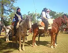 Image 9Ovecha Ragué Festival (from Paraguay)