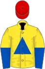 Yellow, royal blue triangle, halved sleeves, red cap