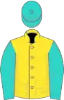 Yellow, turquoise sleeves and cap