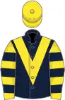 Dark blue, yellow chevron, yellow and dark blue hooped sleeves, yellow cap