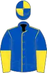 Royal blue, yellow seams, halved sleeves, royal blue and yellow quartered cap