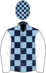 Dark blue and light blue check, white sleeves