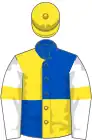 Royal blue and yellow (quartered), white sleeves, yellow armlets, yellow cap