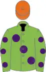 Light Green, large Purple spots, Light Green sleeves, Purple spots, Orange cap