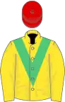 Yellow, green chevron, yellow sleeves, red cap