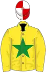 Yellow, green star, red and white quartered cap