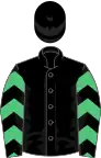 Black, emerald green chevrons on sleeves