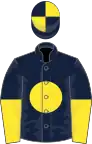 Dark blue, yellow disc, halved sleeves, dark blue and yellow quartered cap