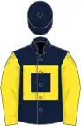 Dark blue, yellow panel and sleeves