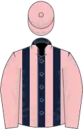 Pink, dark blue stripes on body