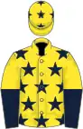 Yellow, dark blue stars, halved sleeves