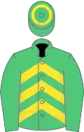 Emerald green, yellow chevrons, emerald green sleeves, hoop on cap