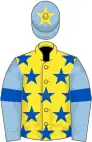 Yellow, royal blue stars, light blue sleeves, royal blue armlets, light blue cap, yellow star