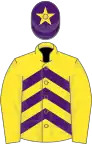 Yellow and purple chevrons, yellow sleeves, purple cap, yellow star