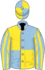 Light blue and yellow (quartered), striped sleeves