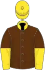 Brown, yellow collar and cap, halved sleeves