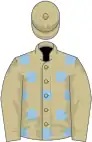 Beige, light blue spots, beige sleeves and cap