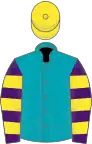 Peacock blue, purple and yellow hooped sleeves, yellow cap