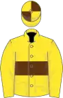 Yellow, brown hoop, quartered cap