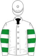 White, white sleeves, emerald green hoops