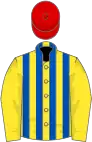 Yellow and royal blue stripes, yellow sleeves, red cap