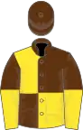 Brown and yellow (quartered), halved sleeves, brown cap