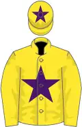 Yellow, purple star, yellow cap