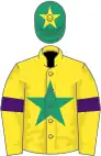 Yellow, emerald green star, yellow sleeves, purple armlets, emerald green cap, yellow star