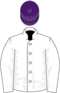 White, white sleeves, purple cap