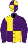 Purple and yellow (quartered), purple sleeves, quartered cap