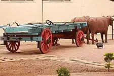 Oxcart on display at Botswana National Museum