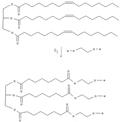 Ozonolysis of unsaturated triglyceride