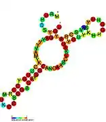 P10:  Secondary structure taken from the Rfam database. Family RF01668