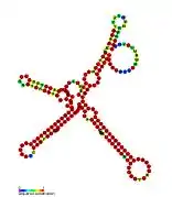 P27:  Secondary structure taken from the Rfam database. Family RF01674