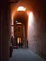 Vaulted passage in the Dar al-Kebira neighbourhood, leftover from the former palace